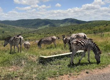 south-africa/hluhluwe-imfolozi-park/shop/hluhluwe-imfolozi-park