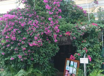 cambodia/kampot/shop/ylang-ylang-gallery