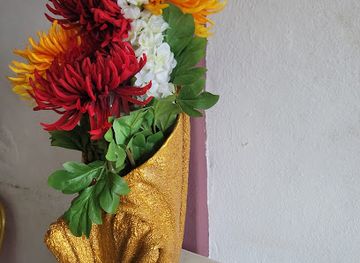 sierra-leone/tacugama-chimpanzee-sanctuary/shop/vitafoam-hill-station-outlet