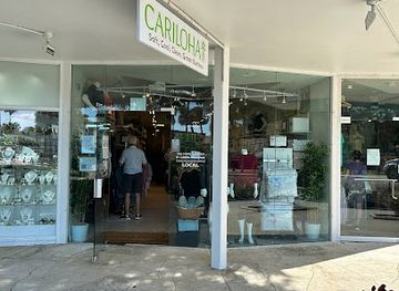 florida/sarasota-beaches/shop/cariloha-sarasota