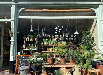 netherlands/the-hague/centrum/shop/little-green-shop