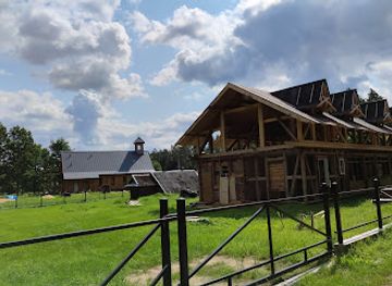 poland/białowieża-forest/shop/bialowieza-forest