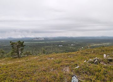 finland/pyha-luosto-national-park/shop/pyha-luosto-national-park