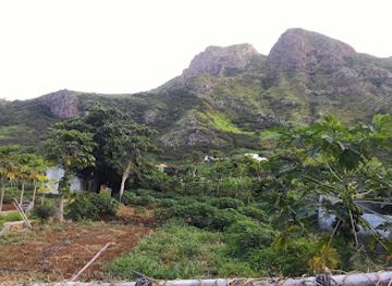 cabo-verde/sao-nicolau/shop/oficina-raiz-de-terra