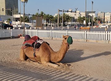 qatar/zekreet-beach/shop/souq-waqif