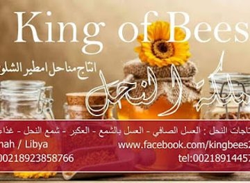 libya/derna/shop/nasser-emtir