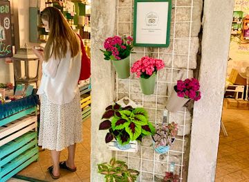 croatia/cetina-river-canyon/shop/origin-croatian-cosmetics