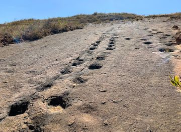 bolivia/torotoro-national-park/shop/huellas-de-dinosaurios