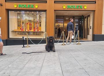 switzerland/geneva/shop/boutique-butterfly