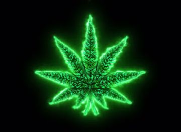 malta/marsa/shop/high-bud-s-shop