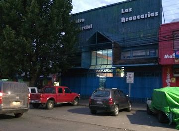 chile/central-valley/shop/galeria-las-araucarias