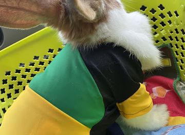 jamaica/runaway-bay/shop/bailey-blues-farm