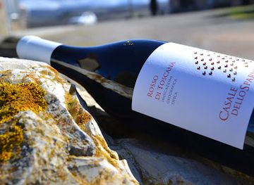 italy/chianti-classico/shop/casale-dello-sparviero