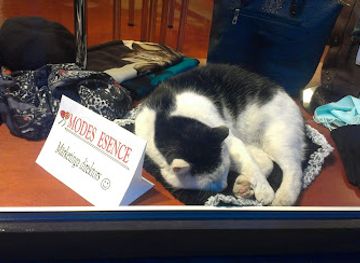 latvia/cesis/shop/modes-esence-sia-salons