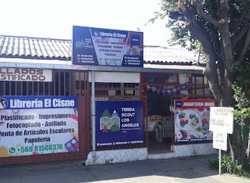 chile/biobio-region/shop/bazar-el-cisne