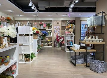 italy/bergamo/citta-bassa/shop/coin