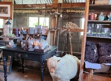 netherlands/drenthe-province/shop/brocante-de-tulp