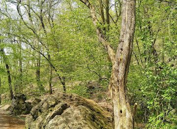 czechia/prague/vinohrady/shop/kozene-zbozi-mapy-a-pruvodci