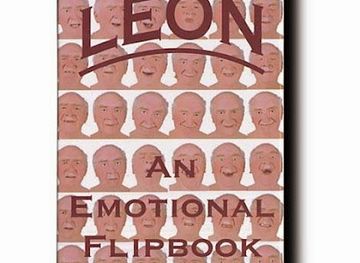 vermont/molly-stark-state-park/shop/optical-toys