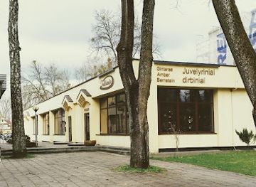 lithuania/dzukija-national-park/shop/amber-boutique-uab-inkliuzija