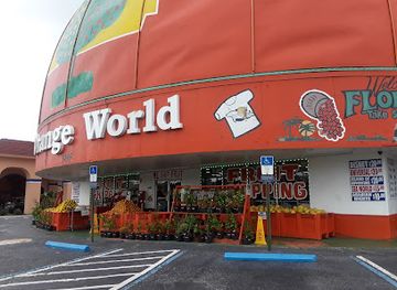 florida/sun-coast/shop/eli-s-orange-world