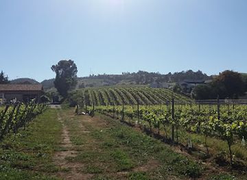 chile/aconcagua-valley/shop/vina-casa-marin