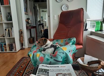 denmark/koge/shop/mode