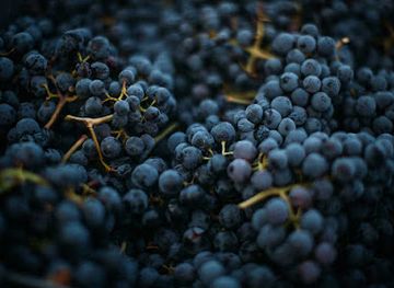 croatia/peljesac-peninsula/shop/wine-shop-opg-glavor