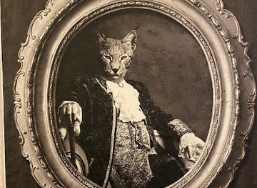 germany/hamburg/shop/hip-cats-vintage-fashion