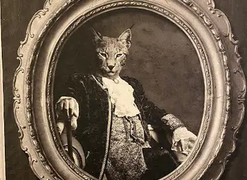 Hip Cats - Vintage Fashion