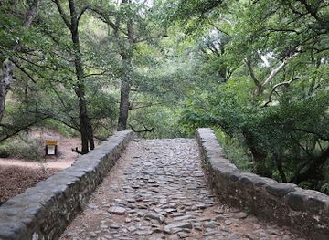 cyprus/troodos-national-forest-park/shop/tzelefos-bridge
