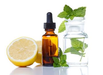 iowa/council-bluffs/shop/bambi-s-green-acres-natural-market