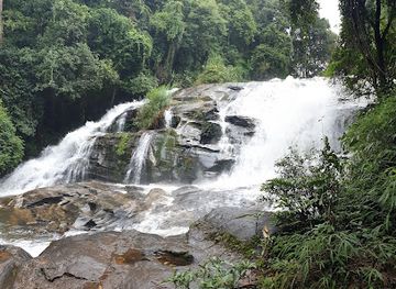 thailand/doi-inthanon-national-park/shop/pha-dok-sieo-waterfall