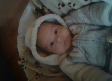 chile/nuble-region/shop/diseno-web