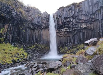 iceland/skaftafell-national-park/shop/svartifoss