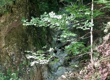 romania/cheile-nerei-national-park/shop/cheile-pisicii