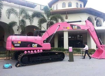 ecuador/cotopaxi-national-park/shop/caspi-parque-nacional-cotopaxi