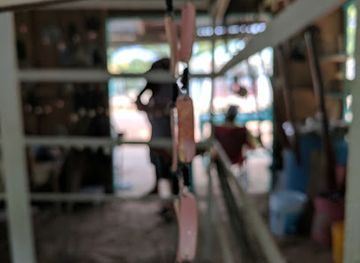 belize/toledo-district/shop/seashell-art-by-alex