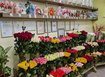 latvia/cesis/shop/elina