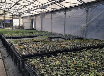 utah/beaver/shop/beaver-nursery