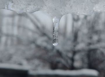 pakistan/skardu/shop/the-north-pearls