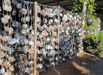 french-polynesia/huahine/shop/perle-d-o