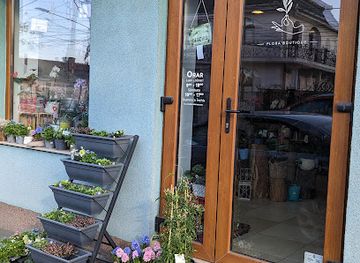 romania/arad/shop/flora-boutique