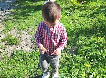 georgia/samegrelo-zemo-svaneti/shop/magniti