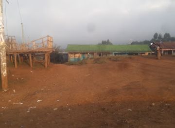 kenya/aberdare-range/shop/kamianda