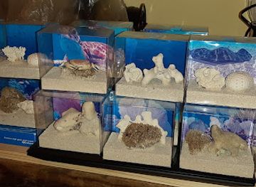 the-bahamas/exuma-cays-land-and-sea-park/shop/exuma-underwater-store