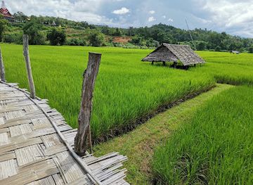 thailand/mae-hong-son/shop/zu-tong-tae-bridge