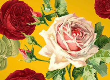 malta/northern-region/shop/storja-store