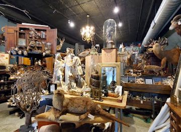 minnesota/red-river-valley/shop/twelve-vultures