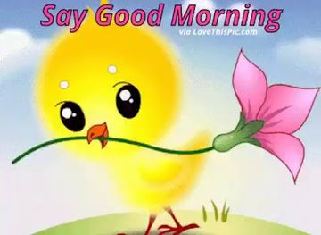 grenada/grenville/shop/washie-supermarket